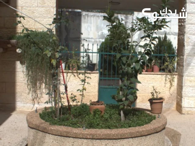 شقه طابق اول مع حديقه فوق الشارع في المصيون للبيع