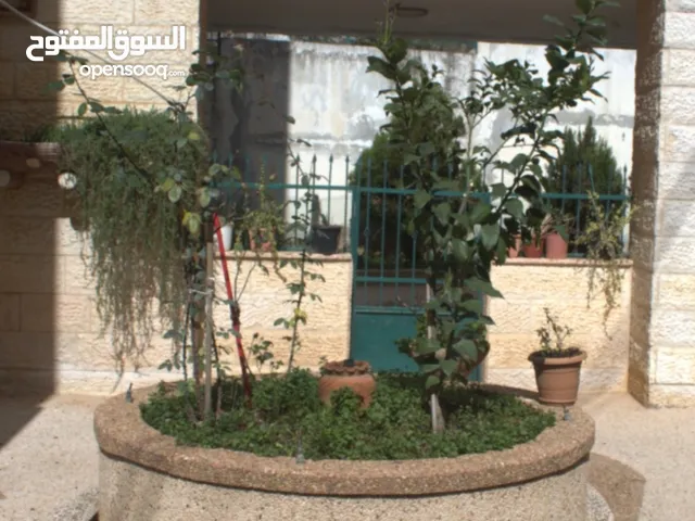 شقه طابق اول مع حديقه فوق الشارع في المصيون للبيع