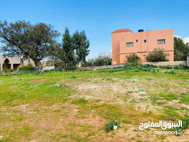 Residential Land for Sale in Salt Al-Sleihi