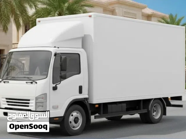 قط الأثاث والاغراض القديمة