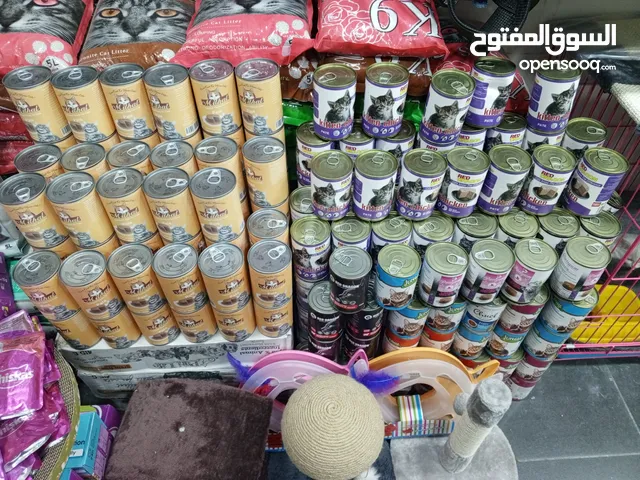 علب قطط جميع النكهات