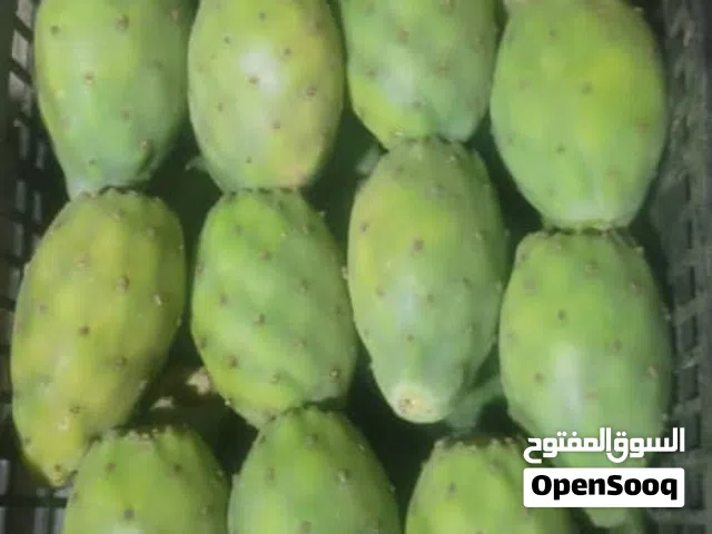 البلس الغيماني