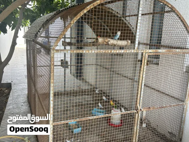 قفص كبير لطيور وجميع الحيوانات