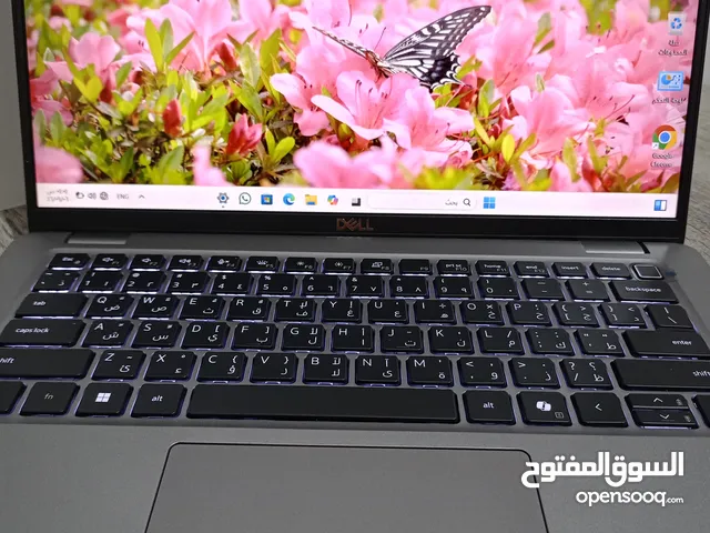 لاتبوب ديل مواصفات ومميزات عالية من الجيل 13 تم تخفيض سعر عرض مغري أطلبه لأن قبل نفاذ الكمية