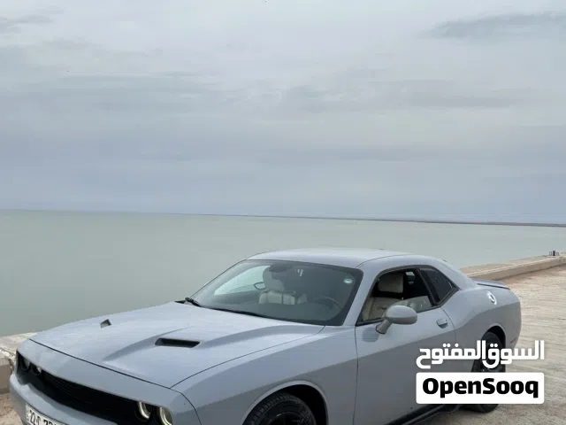 جالنجر سموك 2020