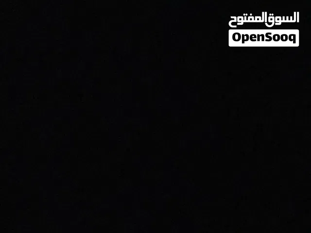 مطلوب جرو ملينوا دم صافي