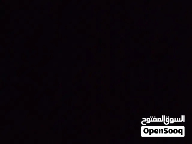 مطلوب بط مصرى العمر من 5 شهور وفوق الكميه مفتوحه
