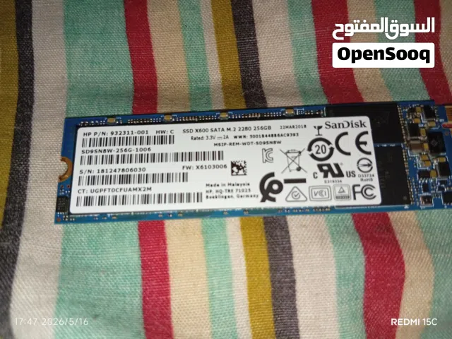 256 GB  SanDisk
