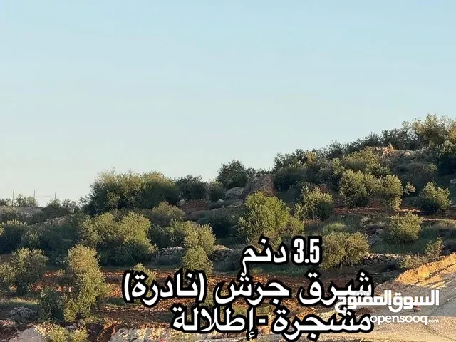 Farm Land for Sale in Mafraq Nadira