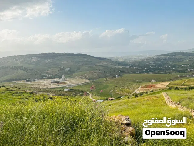 قطعة أرض للبيع في جرش عنيبه حوض ابو الرمل مقابل المدينه السياحيه اطلاله بانوراما