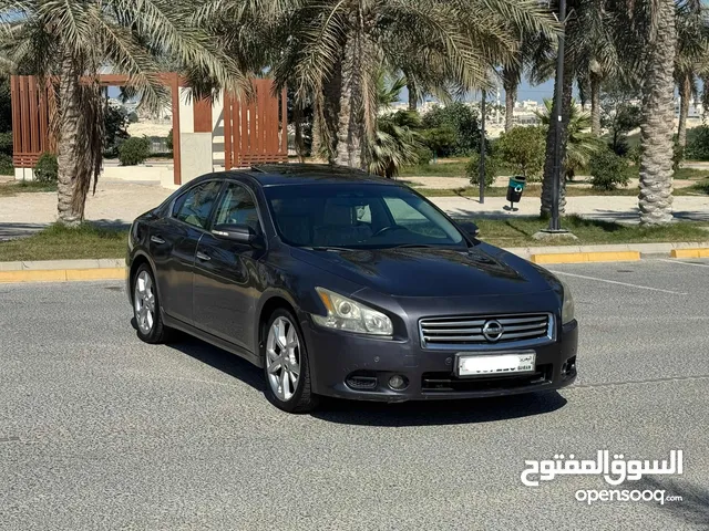 Nissan Maxima 2012 (Grey)