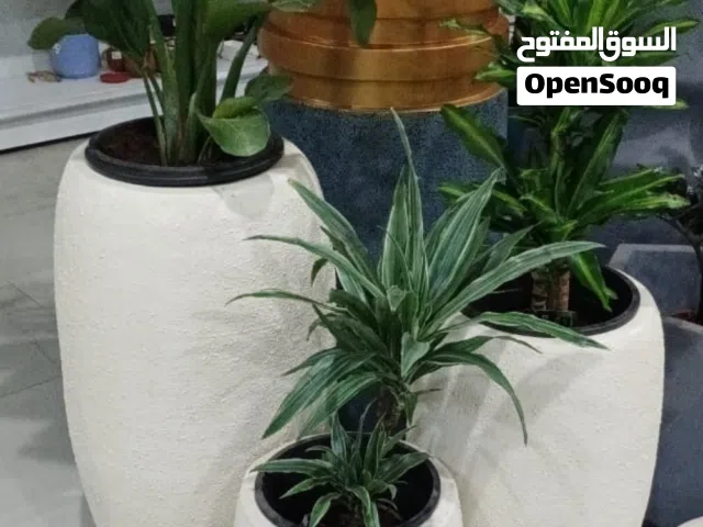 أحواض أسمنتيه