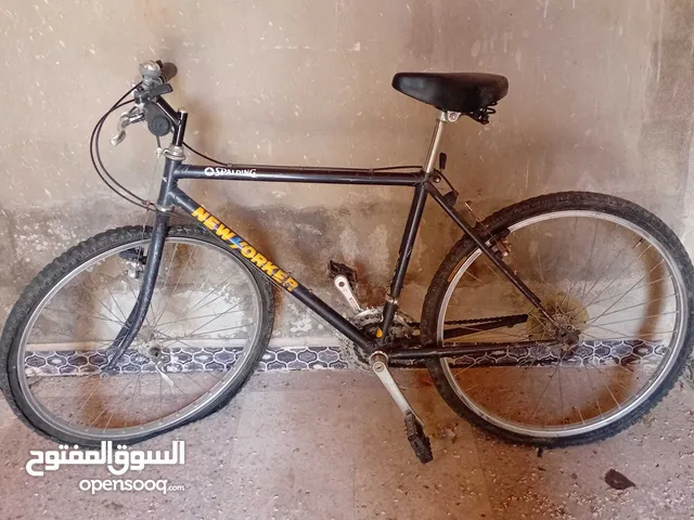 بسكليت ياباني