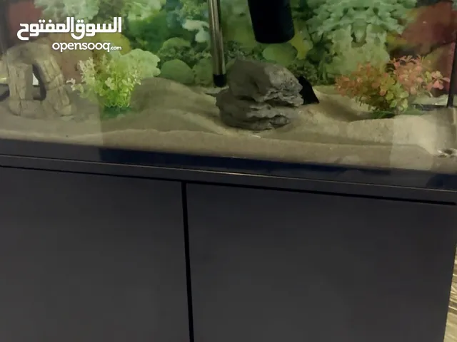 حوض سمك بمواصفات مميزة للبيع