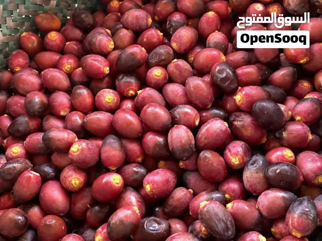 رطب خنيزي نوع فاخر