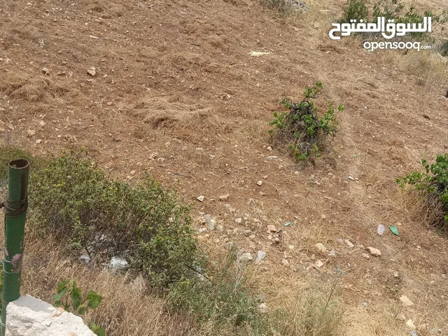 نمرة ممتازة جداا
