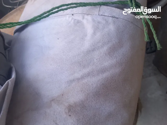 جنطة اللي بالصندوك عدد 2