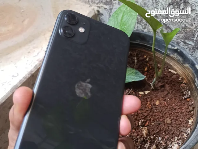 Apple iPhone 11 64 GB in Rif Dimashq
