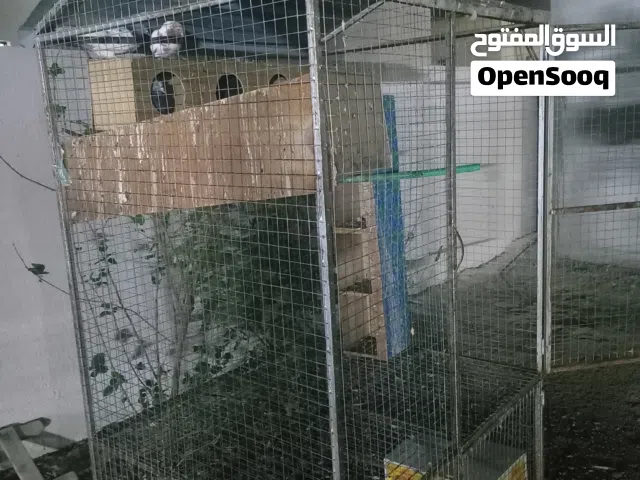 قفص للبيع مع حمام 25