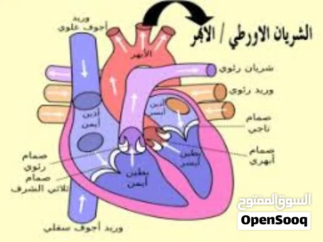 إعلان دروس خصوصية مميزة