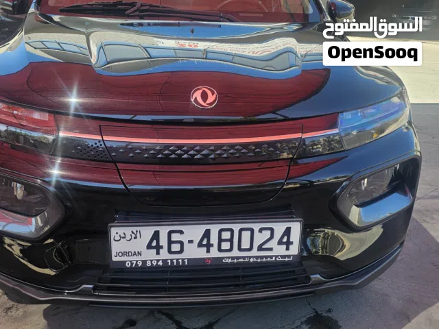 2024 Dongfeng Nammi Box