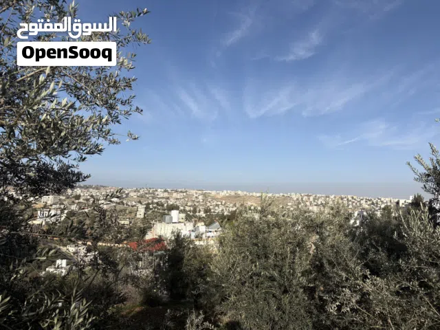 Residential Land for Sale in Salt Al Balqa'