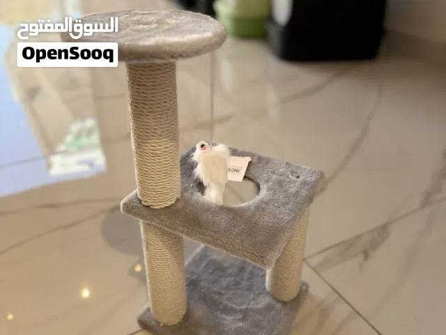 خداشه قطط حجم صغير من الخشب مناسبه لجميع اعمار القطط