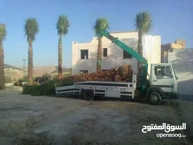 نخل مثمر جميع الارتفاعات