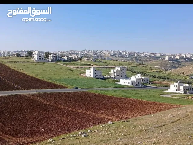 ارض للبيع مرج الحمام حوض القصير اسكان المهندسين بالقرب من ترخيص غرب عمان سكن ج احكام خاصه