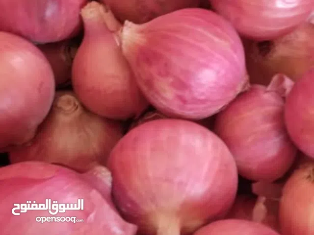 بصل يمني طازج – حجم كبير – جودة ممتازة – كمية بالجملة – توصيل لجميع الدول العربية الحج