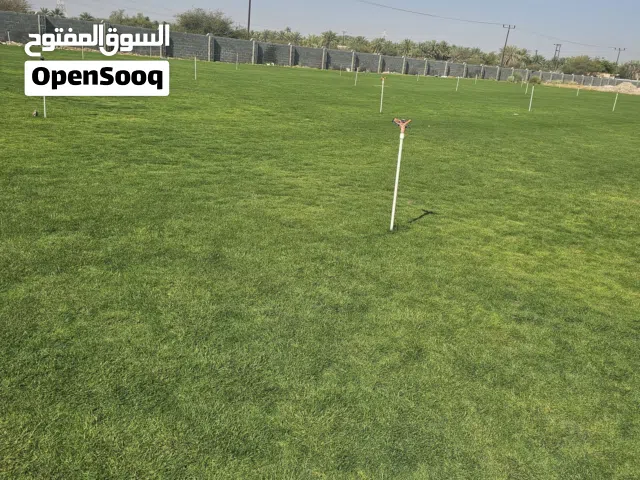 معشب طبيعي