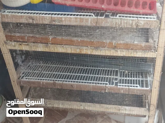 قفص فري طابقين بسعر حرق