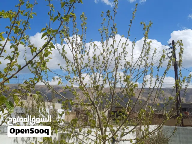 قطعة ارض 200م في اربيل - قضاء شقلاوة - ناحية باسرما طابو ملك صرف مخدومة كاملة ماء كهرباء منطقة سكن