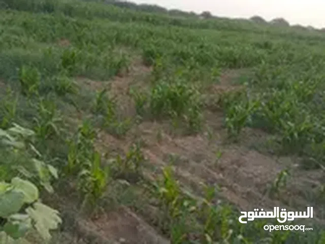Mixed Use Land for Sale in Al Hudaydah Other
