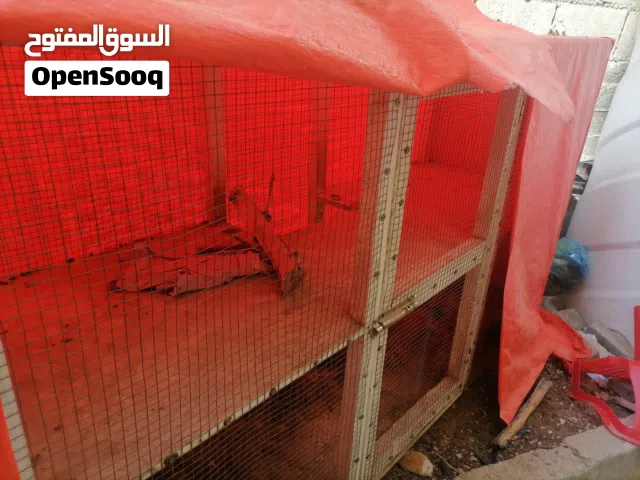 قفص للبيع بسعر 15