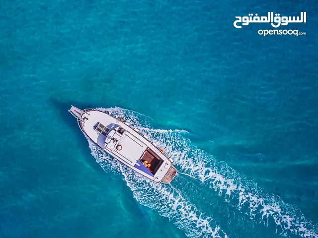 khaled alkhaseb