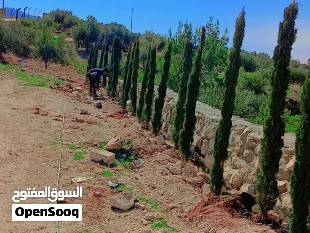1 Bedroom Farms for Sale in Amman Al-Mashqar