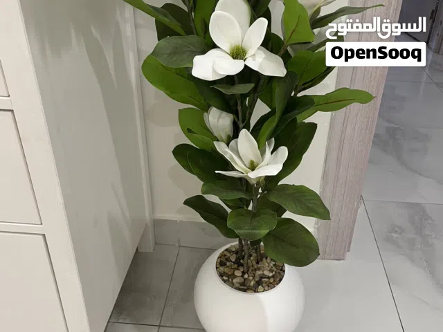 مجموعة تحف