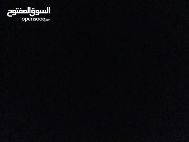مطلوب جرو بيتبول أو اي نوع يكون ممتاز بسعر مغري