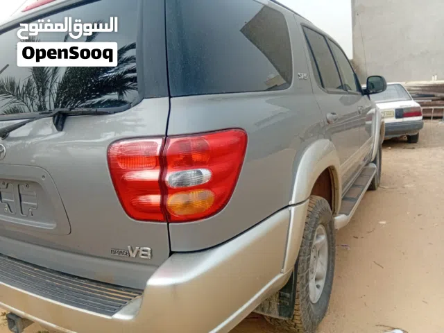 سيكويا درجه اولي ولا غلطه ساحليه