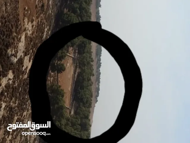 Mixed Use Land for Sale in Amman Husban