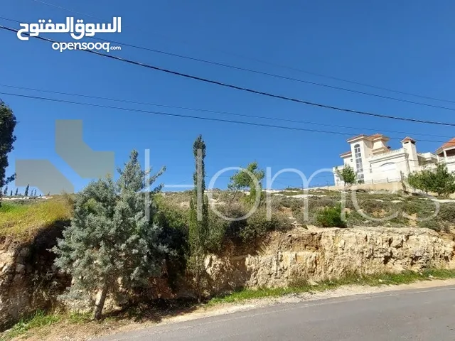 ارض سكنية  في الأردن للبيع ذات موقع مميز في منطقة البنيات  بمساحة 1120 م