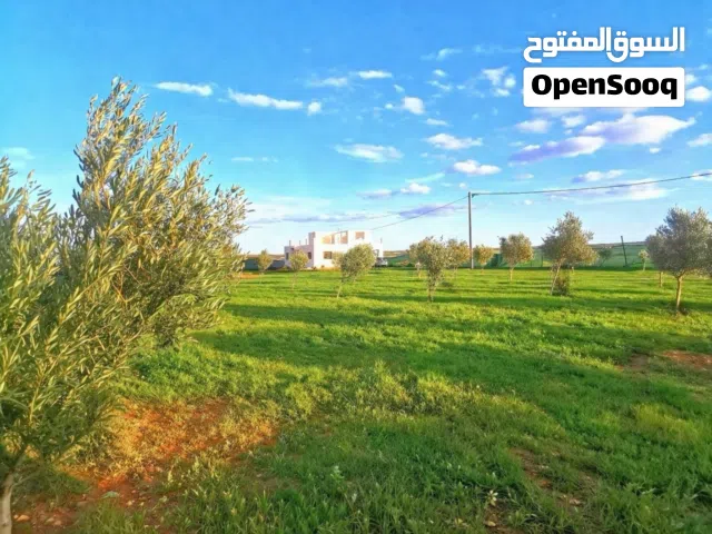 Mixed Use Land for Sale in El Jadida Other