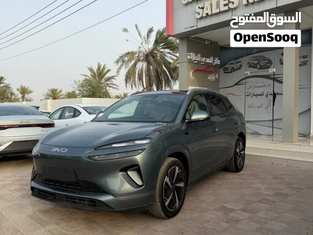 2025 بي واي دي سيليون
