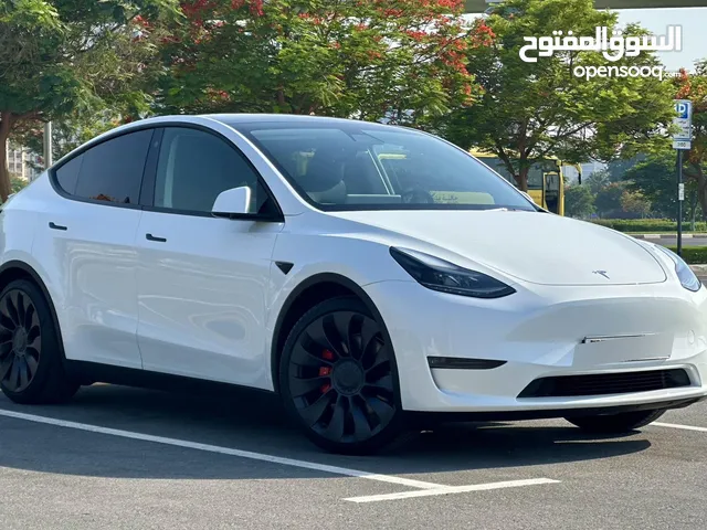 2023 Tesla Model Y Preformance - Low Mileage-Excellent Condition