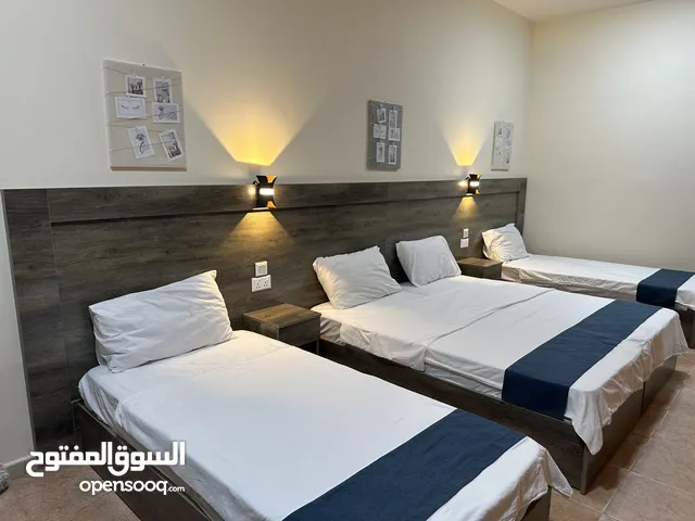 Furnished Daily in Aqaba Other