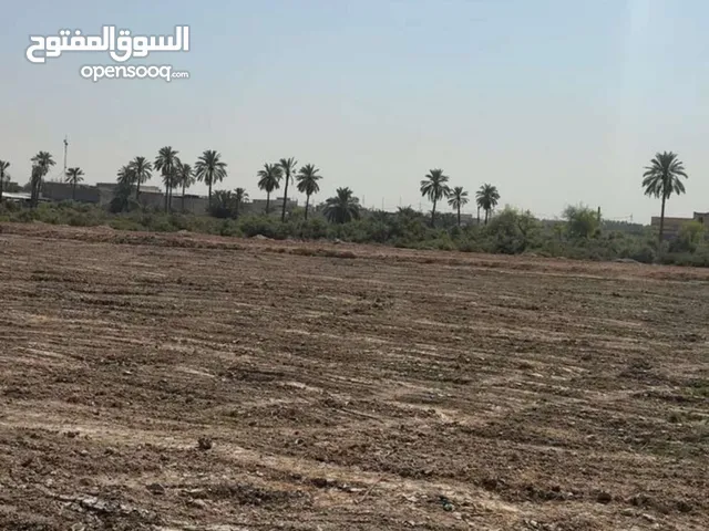 Farm Land for Sale in Basra Al-Jazzera