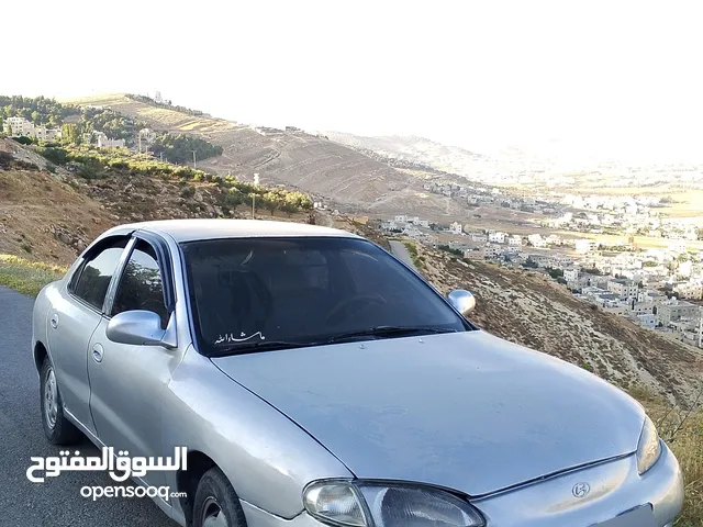 Used Hyundai Avante in Salt