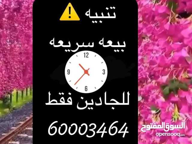 للبيع فيلا بالجابري قطعه 12