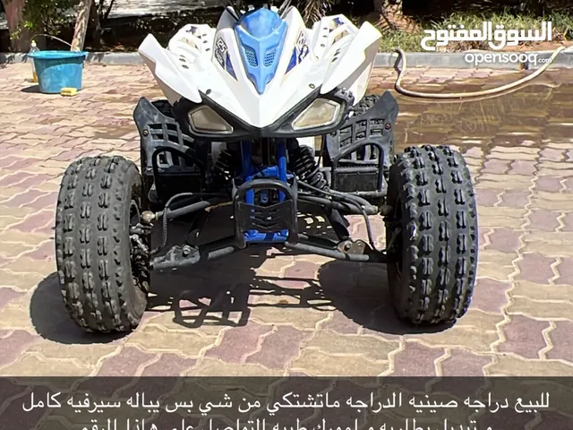 صيني 2024  الجاد فقط